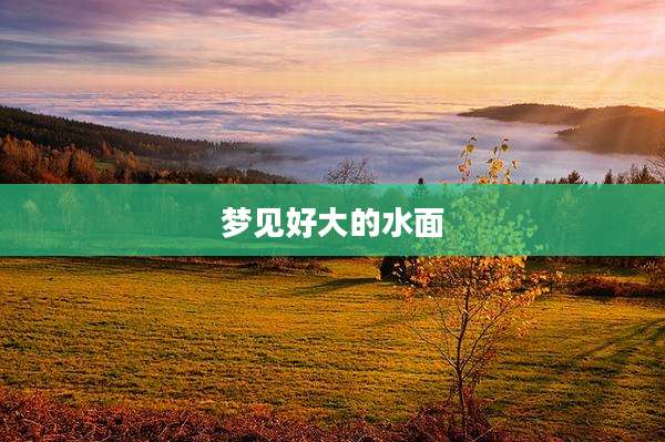 梦见好大的水面