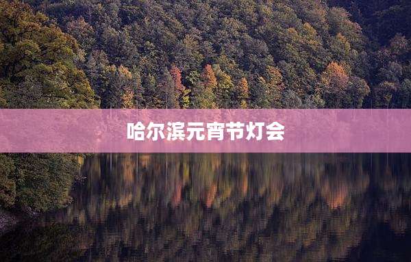 哈尔滨元宵节灯会