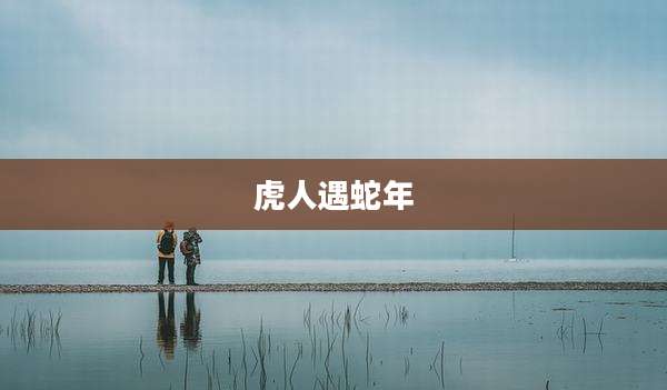 虎人遇蛇年