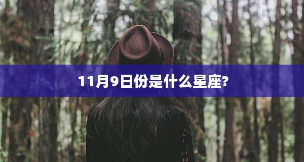 11月9日份是什么星座?