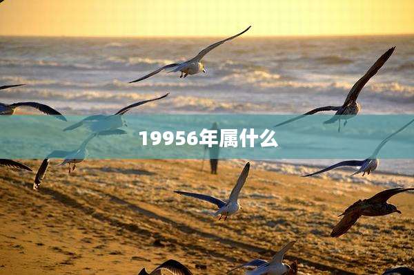 19956年属什么