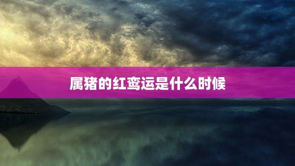 属猪的红鸾运是什么时候