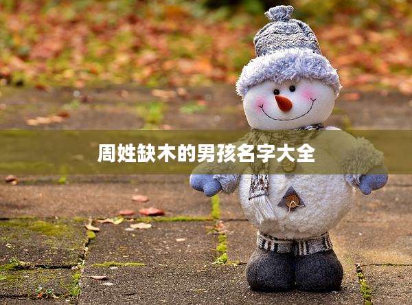 周姓缺木的男孩名字大全