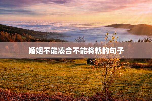 婚姻不能凑合不能将就的句子