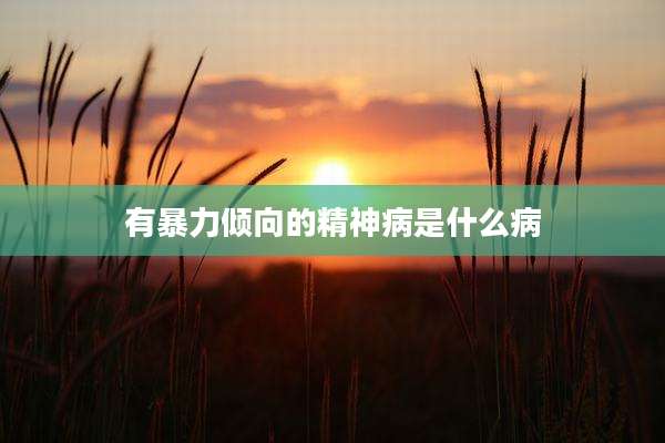 有暴力倾向的精神病是什么病