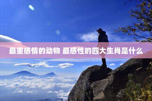 最重感情的动物 最感性的四大生肖是什么