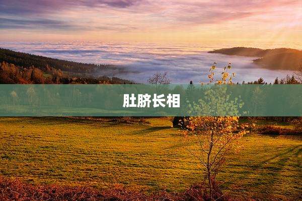 肚脐长相