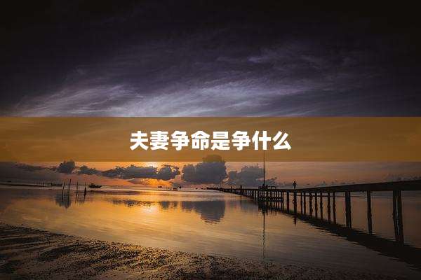夫妻争命是争什么