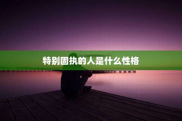 特别固执的人是什么性格