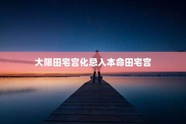 大限田宅宫化忌入本命田宅宫