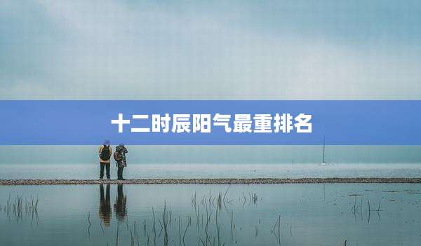 十二时辰阳气最重排名