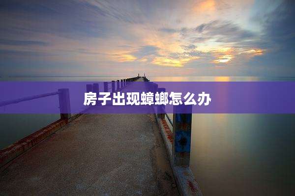房子出现蟑螂怎么办