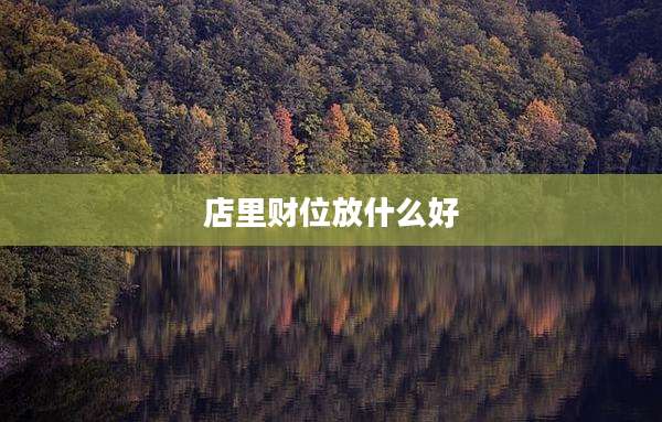 店里财位放什么好