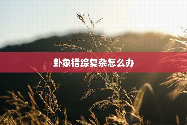 卦象错综复杂怎么办