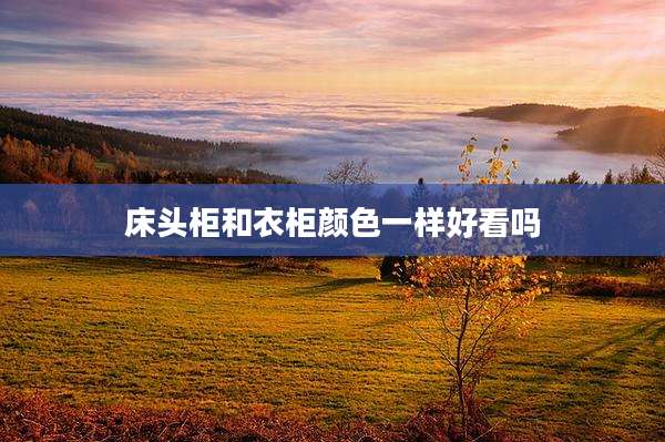 床头柜和衣柜颜色一样好看吗