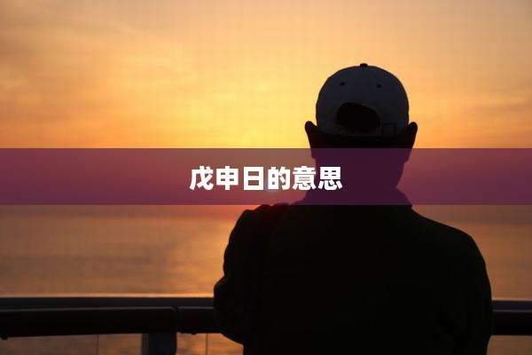 戊申日的意思