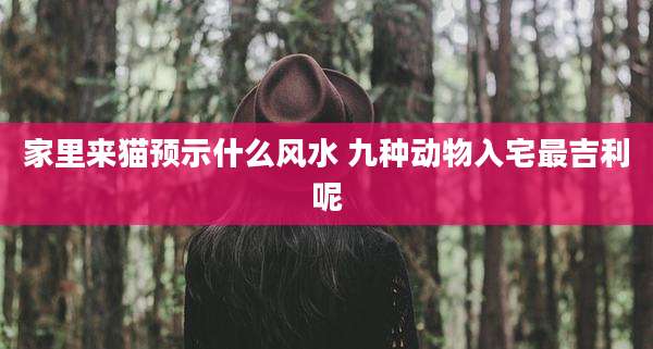 家里来猫预示什么风水 九种动物入宅最吉利呢