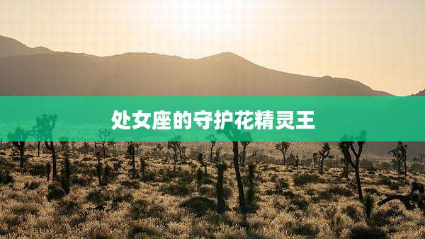 处女座的守护花精灵王
