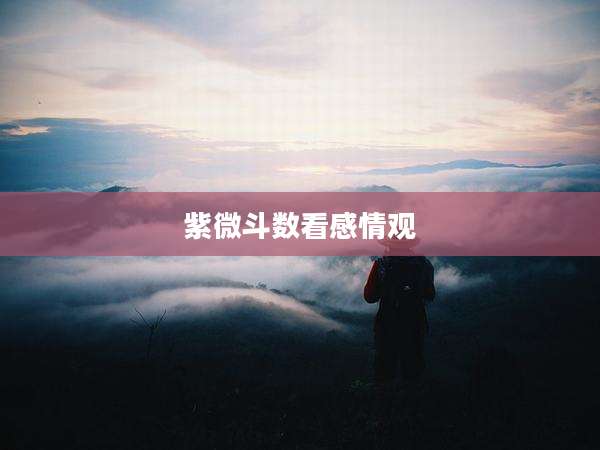 紫微斗数看感情观