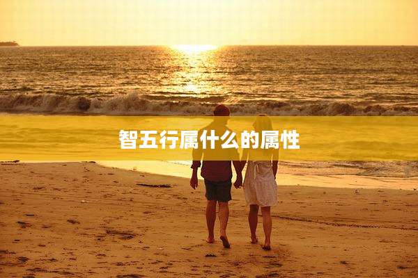 智五行属什么的属性