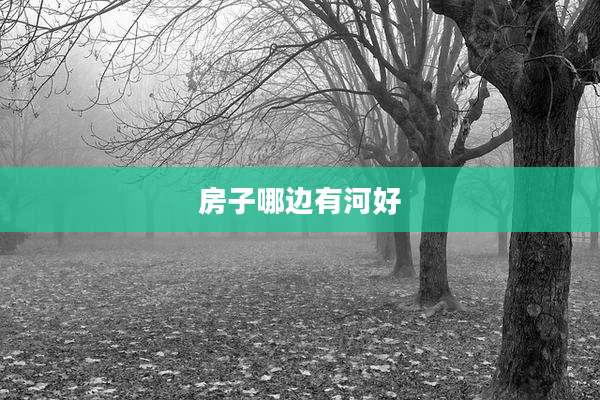 房子哪边有河好