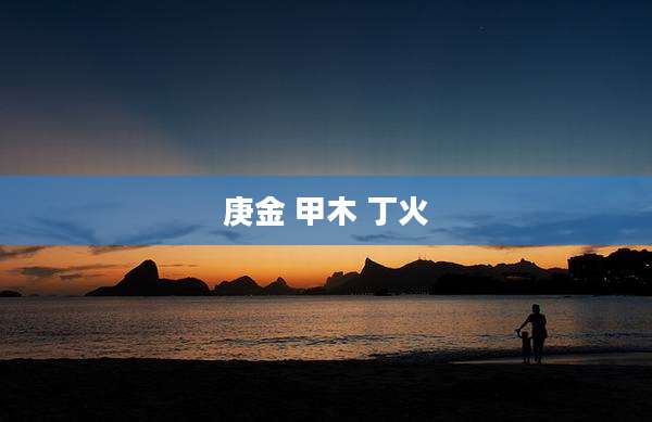 庚金 甲木 丁火