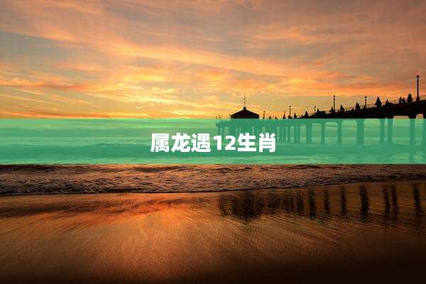 属龙遇12生肖