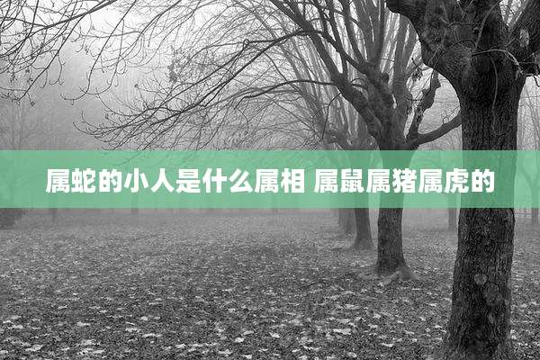 属蛇的小人是什么属相 属鼠属猪属虎的