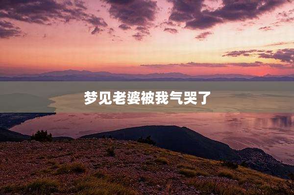 梦见老婆被我气哭了