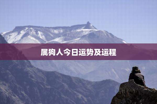 属狗人今日运势及运程