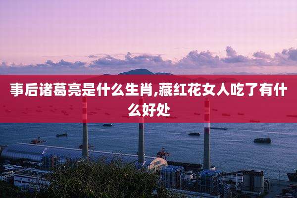 事后诸葛亮是什么生肖,藏红花女人吃了有什么好处