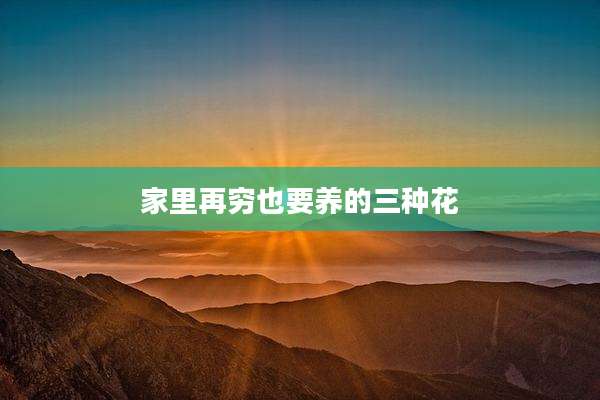 家里再穷也要养的三种花