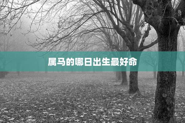属马的哪日出生最好命
