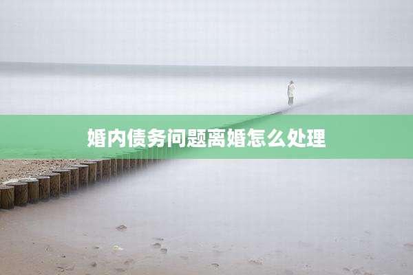 婚内债务问题离婚怎么处理