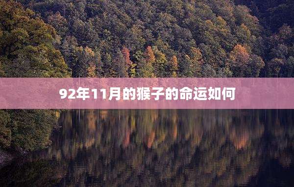 92年11月的猴子的命运如何