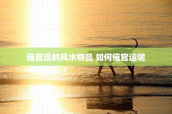 催官运的风水物品 如何催官运呢
