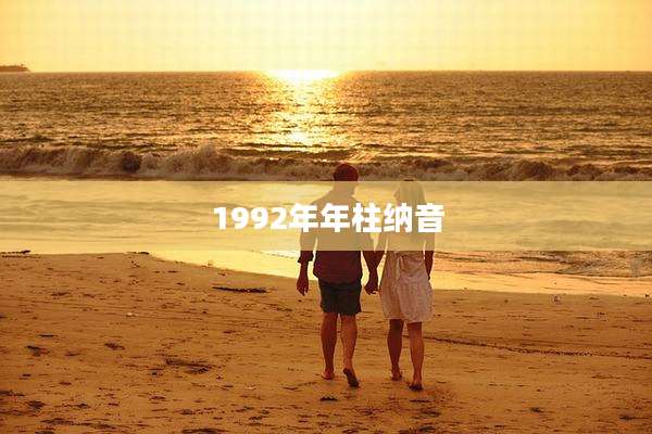 1992年年柱纳音