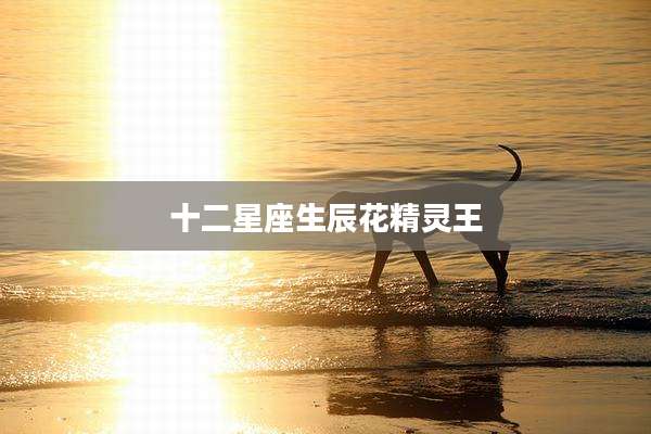 十二星座生辰花精灵王