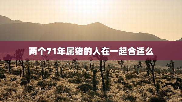 两个71年属猪的人在一起合适么