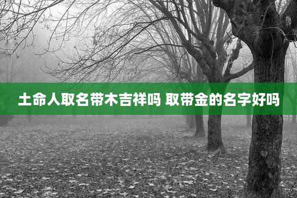 土命人取名带木吉祥吗 取带金的名字好吗