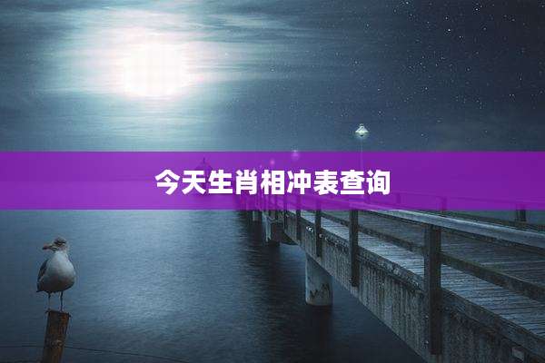 今天生肖相冲表查询