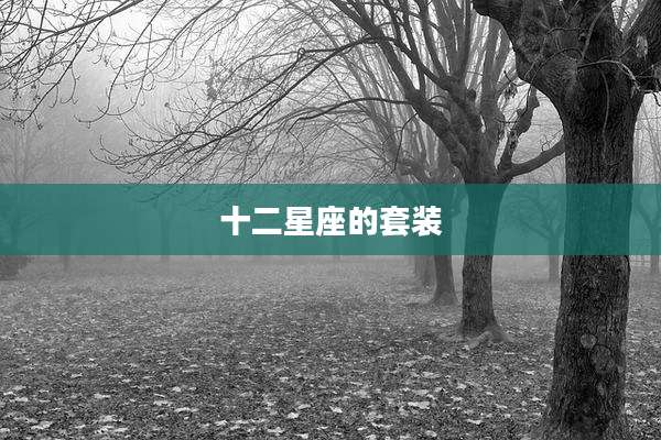 十二星座的套装
