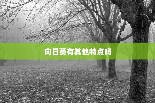向日葵有其他特点吗