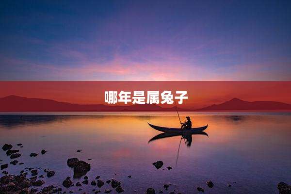 哪年是属兔子