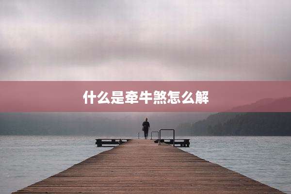 什么是牵牛煞怎么解