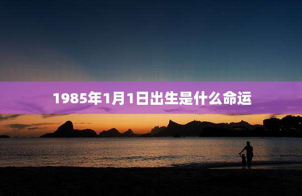 1985年1月1日出生是什么命运