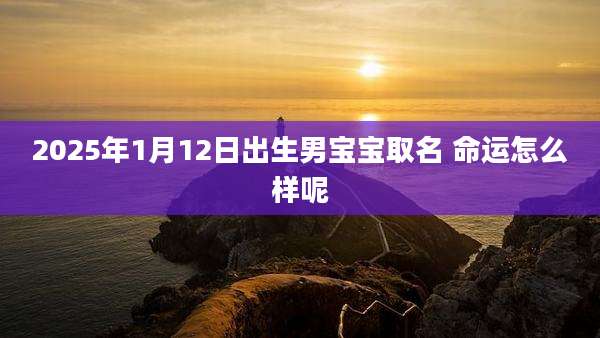 2025年1月12日出生男宝宝取名 命运怎么样呢