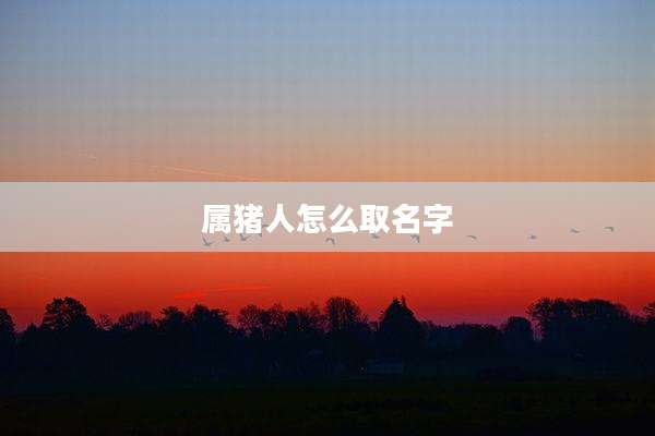 属猪人怎么取名字