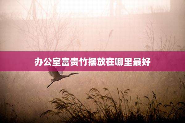 办公室富贵竹摆放在哪里最好