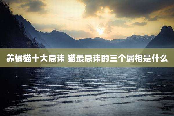 养橘猫十大忌讳 猫最忌讳的三个属相是什么